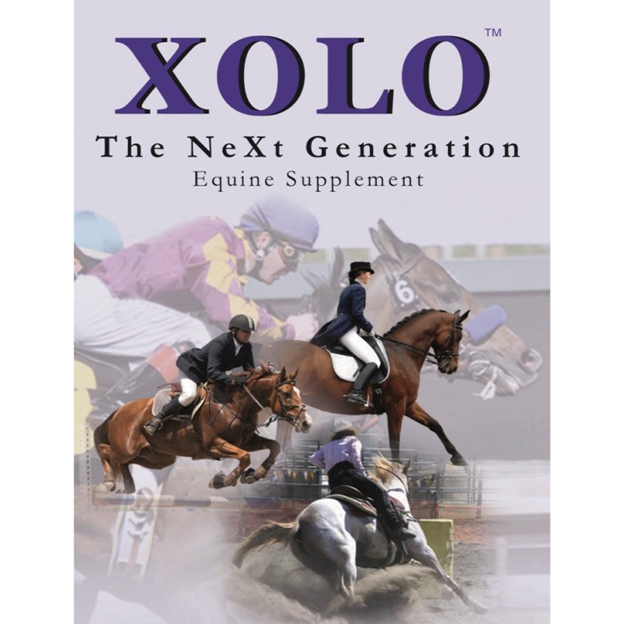 XOLO
