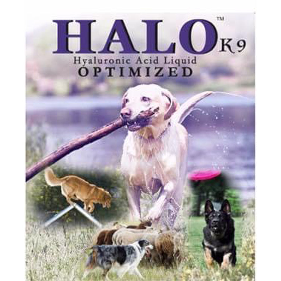 HALO for K9